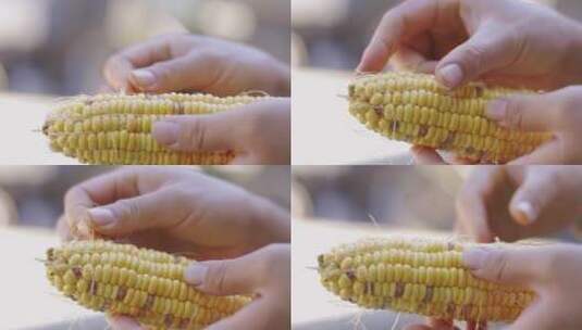 剥玉米洗玉米高清在线视频素材下载