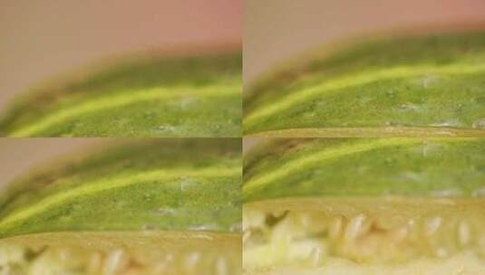蔬菜黄瓜籽黄瓜种子大头黄瓜高清在线视频素材下载