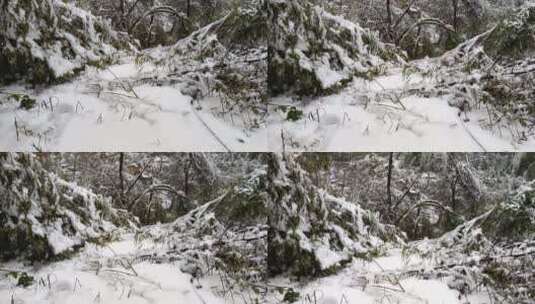 湘南郴州仰天湖高山4K雪景4高清在线视频素材下载