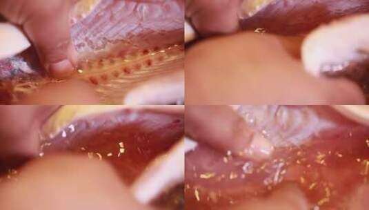 清理鱼鳃鱼肚子鱼内脏高清在线视频素材下载