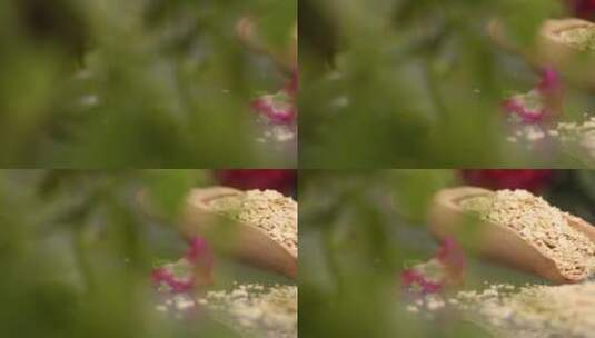 中景散落的健康燕麦高清在线视频素材下载