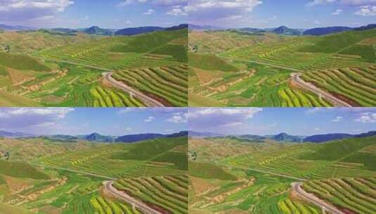 中国甘肃武威梯田农业蓝天全景航拍高清在线视频素材下载