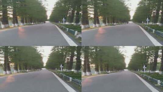 湖南衡阳南湖公园林荫大道自然景观高清在线视频素材下载