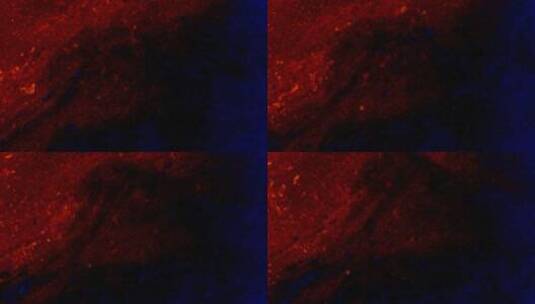 红色系列唯美粒子颗粒雾飞絮 (34)高清在线视频素材下载