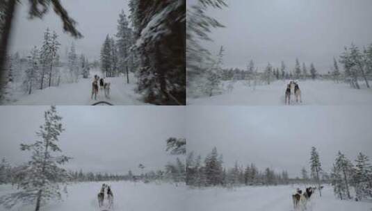 穿越白雪覆盖的森林高清在线视频素材下载