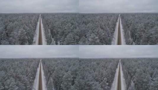 森林中的冬季之路高清在线视频素材下载