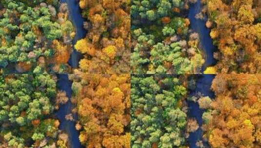 秋天日出时森林和河流的鸟瞰高清在线视频素材下载