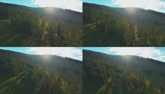 航拍草原森林风景高清在线视频素材下载