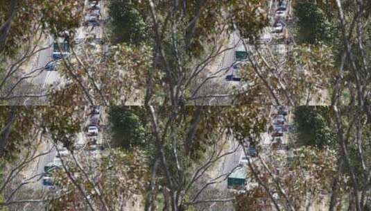 透过树枝俯瞰城市公路上的交通高清在线视频素材下载