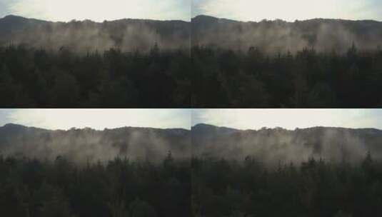 在薄雾笼罩的森林中缓慢的空中旅行高清在线视频素材下载
