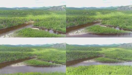 内蒙古大兴安岭北部林区落叶松林高清在线视频素材下载