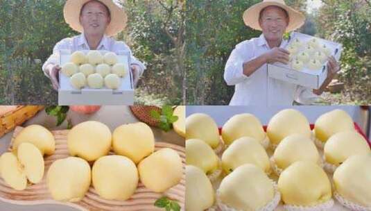 苹果合集素材高清在线视频素材下载