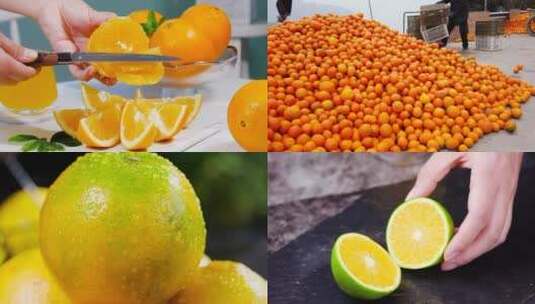 橙子合集素材高清在线视频素材下载
