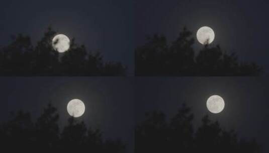 月亮升起 诗意月亮高清在线视频素材下载
