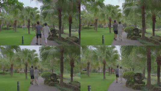 情侣牵手在棕榈树下散步背影高清在线视频素材下载