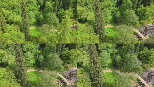 无人机拍摄的森林高清在线视频素材下载