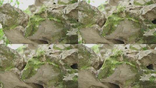 苏州留园-4k运镜实拍高清在线视频素材下载