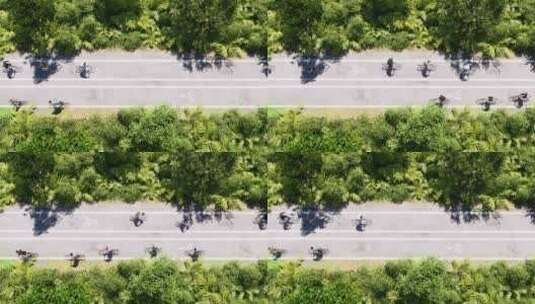 骑自行车游玩运动郊游生活乡村旅游健康休闲高清在线视频素材下载