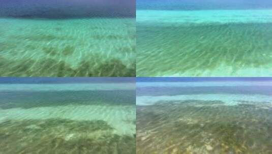 清澈透底的海底景色高清在线视频素材下载