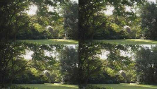 公园里阳光穿透树木 洒在草地上高清在线视频素材下载