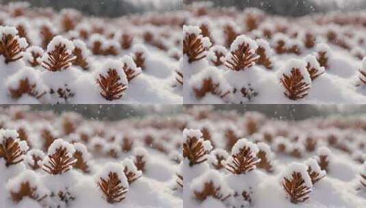 唯美雪景冬天下雪高清在线视频素材下载