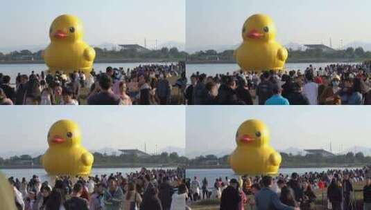 深圳人才公园超大黄鸭RubberDuck参观人群高清在线视频素材下载