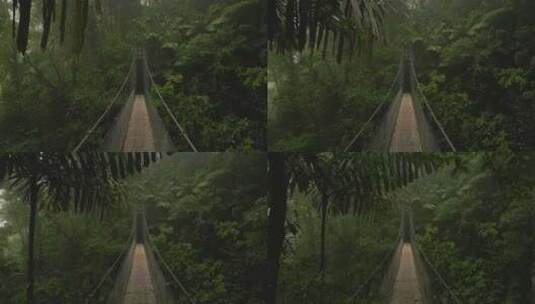 森林里的铁索桥高清在线视频素材下载
