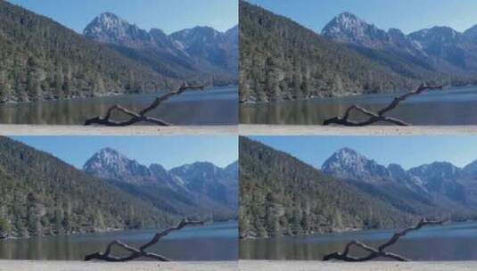 森林湖泊水面高清在线视频素材下载