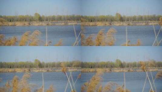 黄河滩风景高清在线视频素材下载
