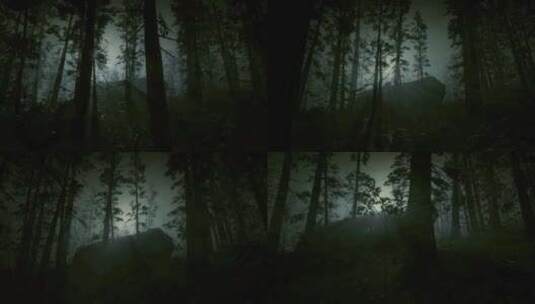 森林中的恐怖场景，黑夜，月光，神秘的树木高清在线视频素材下载