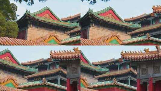北京春天故宫博物院明清古建筑高清在线视频素材下载