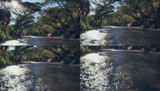 森林中的小溪水流波光粼粼高清在线视频素材下载