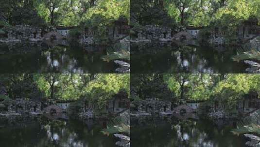阳光绿植太湖石园林庭院水景特写 沉浸式高清在线视频素材下载