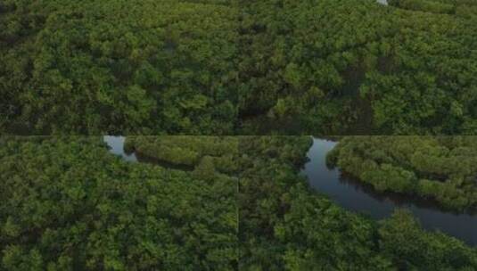 额尔古纳湿地航拍原素材高清在线视频素材下载