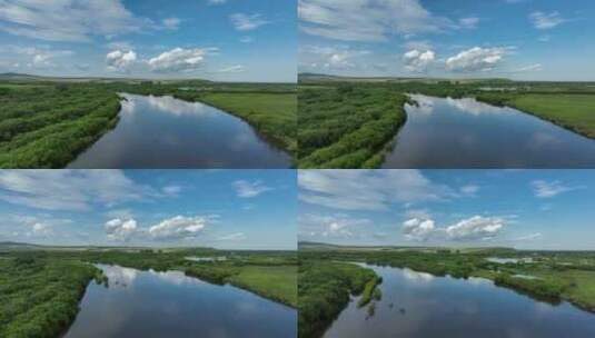 海拉尔河湿地夏季风景高清在线视频素材下载