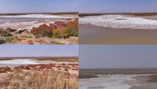 草原盐碱地湿地湖泊高清在线视频素材下载