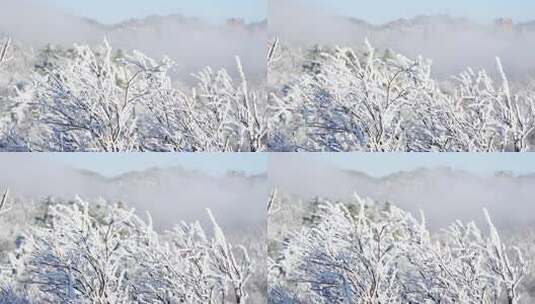 伏牛山冬季雪景云海雾凇高清在线视频素材下载