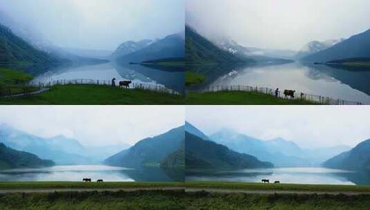 丽水 缙云仙都 鼎峰湖 风景 牵牛 云雾高清在线视频素材下载