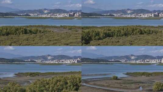 惠州市盐洲海洋湿地公园-红树林航拍高清在线视频素材下载