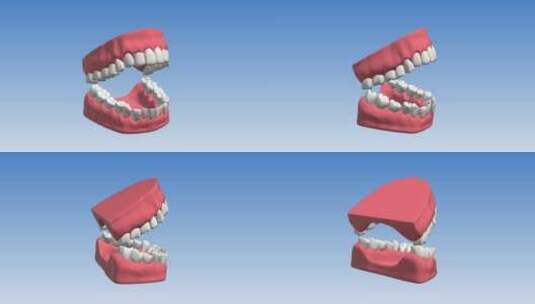 三维牙齿张开展示ae模板高清AE视频素材下载