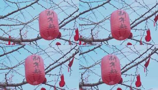 杭州西湖钱王祠新年祈福红灯笼高清在线视频素材下载