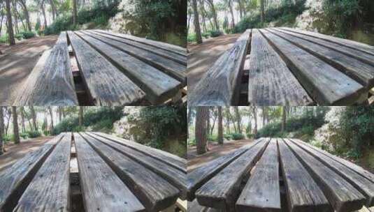 在公园的木桌高清在线视频素材下载