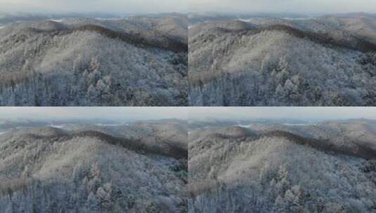 航拍东北冬天树挂，雾凇，雪景高清在线视频素材下载
