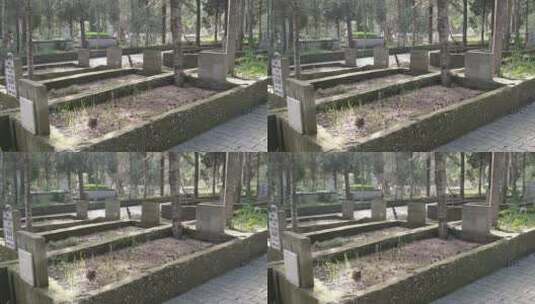 墓地中的墓碑固定镜头高清在线视频素材下载