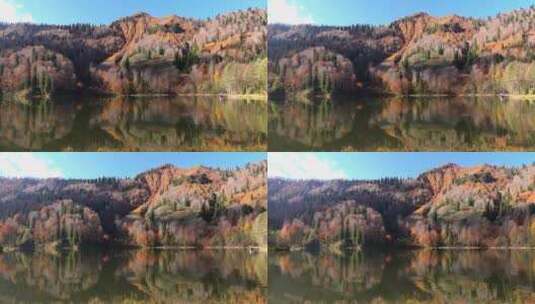 美丽的湖泊和秋天的森林高清在线视频素材下载