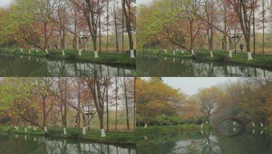 杭州西湖秋景高清在线视频素材下载