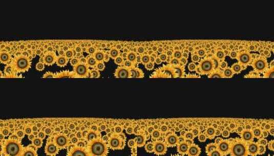 黄色向日葵粒子海冲屏幕视频高清在线视频素材下载