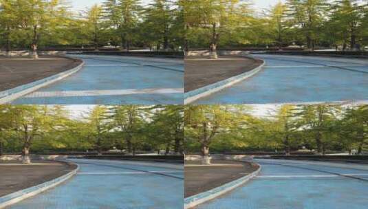 公园广场银杏树 4k视频高清在线视频素材下载