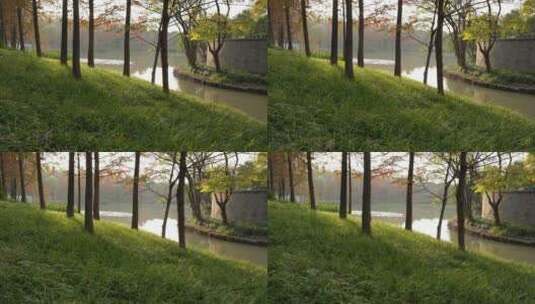 杭州城西休闲公园高清在线视频素材下载