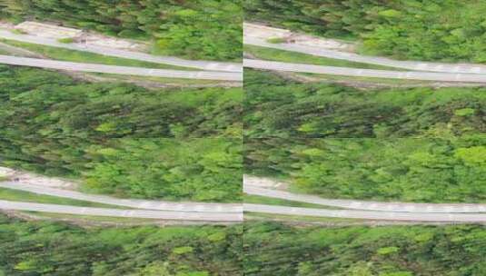 航拍横穿大山森林的到道路高清在线视频素材下载
